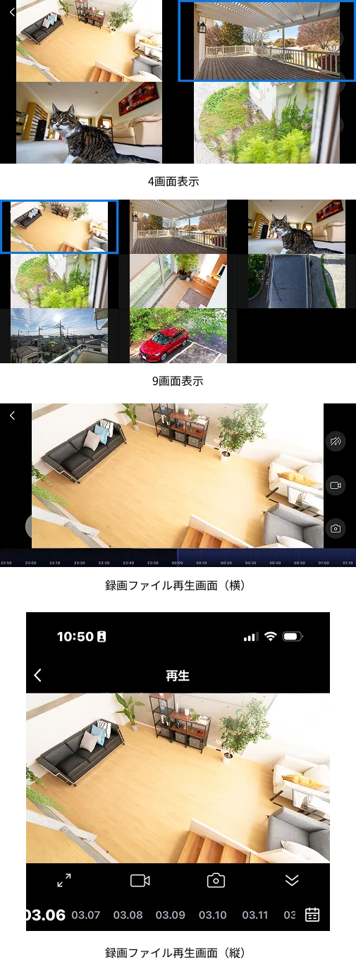 スマホアプリでの表示例