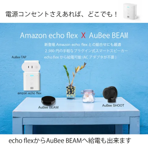 amazon echo flexとの組合せが秀逸